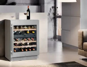 Cantina vino Liebherr Vinidor